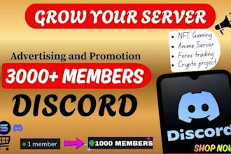 grow, boost and advertise discord server promotion gain real member, ig mass dm