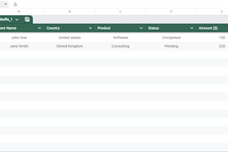 do expert excel data entry, data cleaning, and spreadsheet formatting