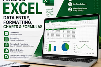 excel data entry, excel spreadsheet, and data cleaning