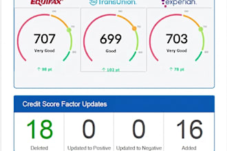 professionally remove your experian inquiries within 6 hours