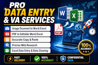 professional data entry operator