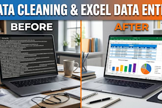 data cleaning, entry in excel sheet