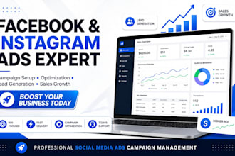 develop and optimize data driven paid advertising strategies