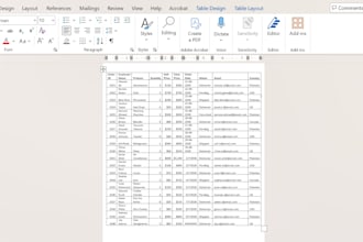 do accurate data entry in excel or word