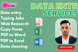 data entry, microsoft excel, pdf to word or excel, image to word, data cleaning