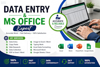 do professional data entry, ms excel, and ms word formatting