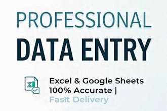 accurate data entry, excel and google sheets work