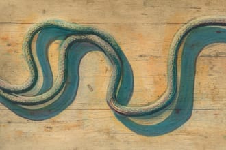 create a vintage watercolor rubber hose illustration
