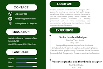 create a professional CV resume design