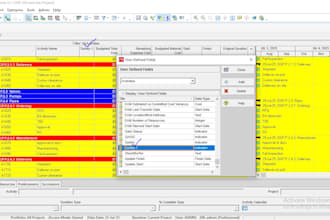prepare schedule on primavera p6 or ms project