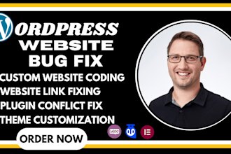 fix wordpress bugs, errors and technical issues