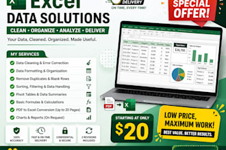 excel data cleaning, formatting, pivot tables, data handling