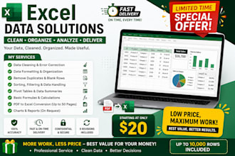 excel data cleaning, formatting, pivot tables, data handling