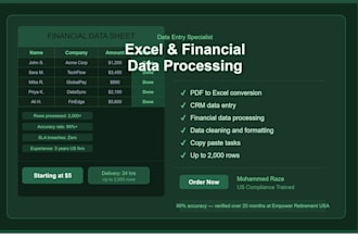 do accurate data entry excel spreadsheet and financial data processing