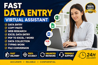 do CRM data entry, excel spreadsheet and web research