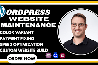 maintain, secure and optimize your wordpress website