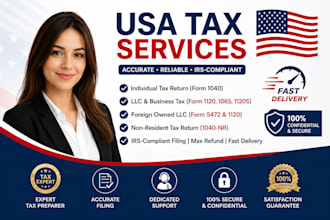 organize review and format your US tax and llc documents professionally