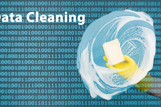 clean and organize your data