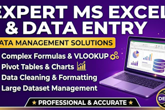 do expert data entry, ms excel, and typing work