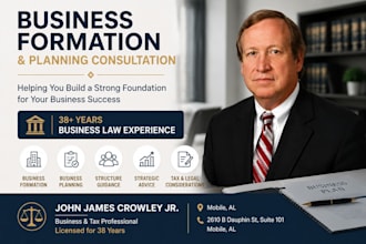 provide business formation and planning consultation
