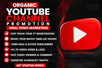 do organic USA,US video promotion for youtube monetization