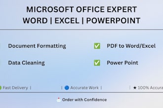 professional ms word excel and powerpoint expert document formatting