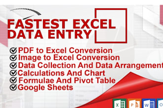 do PDF to word and PDF to excel conversion manually