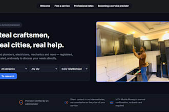 build a full website for you with a certain number of pages