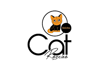 create a professional IT company logo design