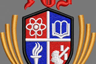 do professional embroidery digitizer