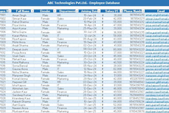 do data entry excel  ms word and powerpoint presentation expert