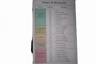 do data entry, PDF to word, typing work
