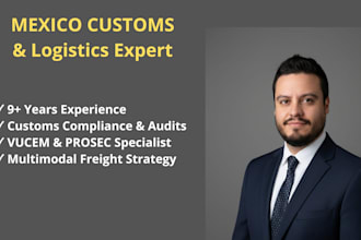 be your mexico customs compliance and logistics consultant