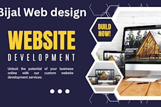 create professional word press website