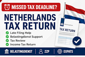 file netherlands tax return income tax and belastingdienst filling for expats