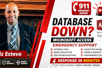 provide emergency microsoft access database support