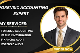 do forensic accounting fraud investigation financial audit and asset tracing