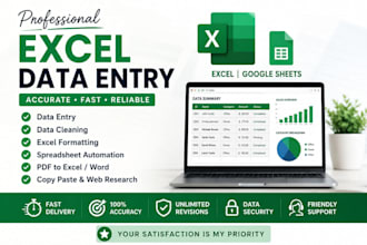 do excel data entry data cleaning excel formatting