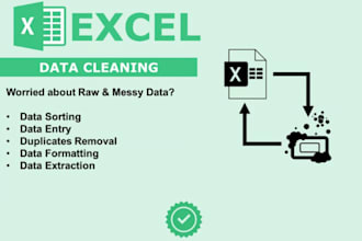 clean and organize excel spreadsheets