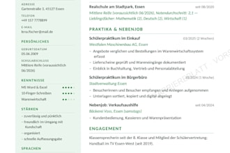 write your professional german CV and cover letter