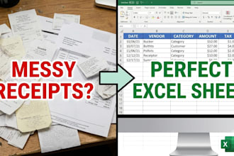do financial data entry and organize receipts in excel