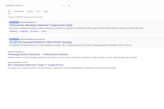 set up and manage google ads and SEO to grow your business