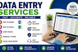 do accurate data entry, data typing, copy paste, PDF to word and excel