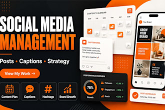 manage your social media with posts captions and strategy