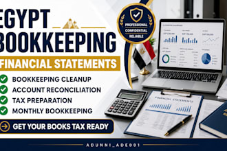 do egypt bookkeeping financial statements and tax preparation