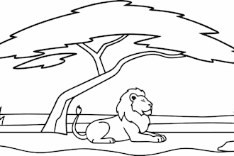 create KDP coloring book pages for amazon kdp book