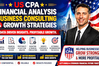 provide US CPA financial analysis, business consulting, and growth strategies