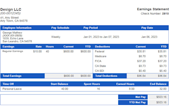 create paychecks, salary slips and w2 forms in a hour