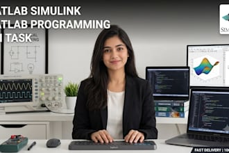 do matlab and simulink projects professionally