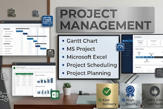 provide project management support in ms project and excel